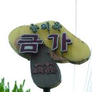 금가능이옥 이미지