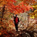 꿈꾸는유배지늡다리 이미지