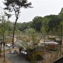 초안산 캠핑장 이미지