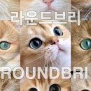 라운드브리(roundbri) 이미지