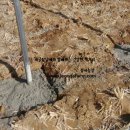 정아농장 이미지