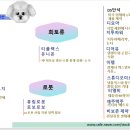 엠케이홀딩스 이미지