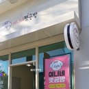 여니네펫공방 네이버블로그