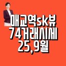 매교역푸르지오SK뷰국토부동산공인중개사 | 매교역SK뷰 74 거래시세 25.09월