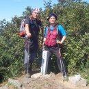 광광 농원 이미지