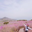 비슬산자연휴양림 이미지