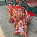 의성흑산영농조합법인 | [경북/의성] 마늘 하면 의성이지! 다가올 김장철 준비하세요! 의성명품마늘영농조합법인