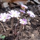 가리대광장 이미지