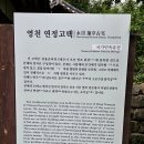 영천 연정 고택 | 영화 &#39;그 해 여름&#39; 촬영지 영천 선원마을