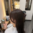 다온 - 고양시 일산동구 강송로74번길 13-5 | 엄궁미용실 다온헤어 전체염색 후기