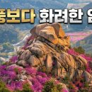 황매산 누룩덤 감암산 철쭉평원 모산재 돛대바위 영암사지 이미지