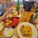 (주)중부렌트카(봉명) | 3주간의 이태리: 희년의 바티칸시국, 아울렛과 와인너리투어.