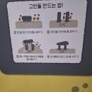 동양바이크 이미지