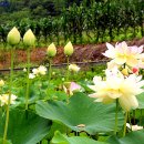 기종농장 이미지