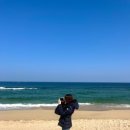 번패티번강릉 이미지