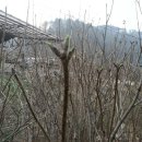 영선농장 이미지