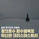 크리스마스 트리 | 일본 홋카이도 비에이 청의호수 흰수염폭포 크리스마스트리 탁신관 방문 후기