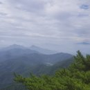 쌍쌍식육점