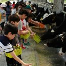 와우목장 이미지