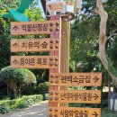 정남진 편백숲 우드랜드 이미지