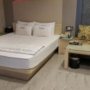 스페셜W 모텔 이미지