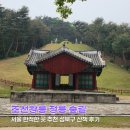 정릉9 | 서울 한적한 곳 추천 성북구 조선왕릉 정릉 숲길 산책 후기