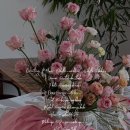 드노보뷰티