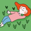 매일상회 이미지