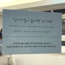 보니또따 이미지