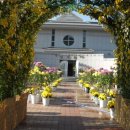 가고파플라워 이미지