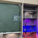인천여자고등학교 | 조류를 배양해보고, 설정한 실험조건에서 키워보자![미세조류 2차시/25.5.29 인천광역시 인천여자고등학교]