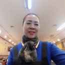 새단장봄단장 이미지