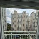 정진약품 이미지