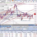 6월 24일 장중 종목 흐름 분석 - 베이직하우스 넥센타이어 신성이엔지 대봉엘에스 KG ETS 이미지