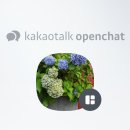 보다스페이스