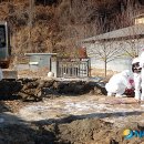 이인준 농장 티스토리