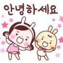 리본 동물병원 이미지