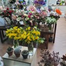 더헬스 앤 피티 이미지