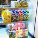 애견세상 이미지