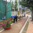 입북초교 이미지