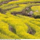 두모가J 이미지