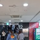 더썸뷰티 이미지