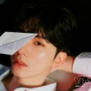 엑스디브이디