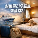 펫클라우드 | 실버클라우드호 객실 선택 후기 (펫룸, 와이파이, 흡연실)