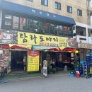 탐라도야지 이미지
