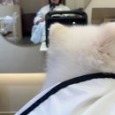 사하구 괴정 붙임머리 아야꼬토탈뷰티살롱 강추 후기