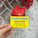광어2마리 - 남양주시 호평로 64-2 | 군자 횟집 광어2마리 콜키지프리 윤남노 추천 중곡 제일시장 물회 맛집