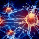 강화군산림조합 이미지