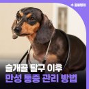 서원동물병원 이미지