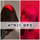 명성기업 | 안양 탈모두피 관리 WT메소드 평촌점 탈모관리 후기